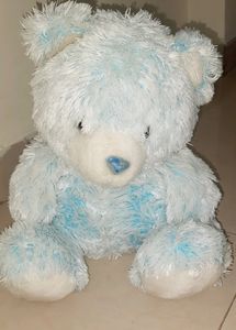 Taddy Bear
