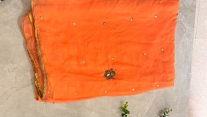 Orange Saree with Embellishments