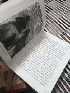Black Beauty by Anna Sewell
