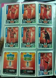 T -20 World Cup 2014 Team England