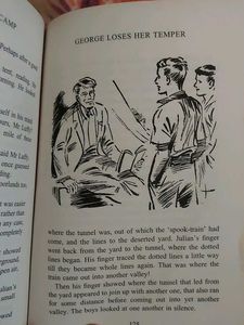 Enid Blyton's The Famous Five Book
