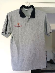 Grey T Shirt
