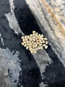 Sparkling Flower Stud Earrings