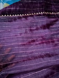 soft organza saree with stiched boluse