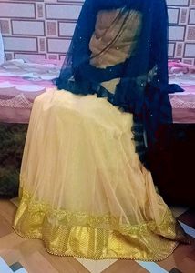 Lehnga Beige Colour( Fix Price)