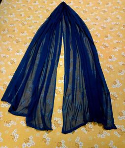 Stylish Blue Patiala Pant And Dupatta Combo