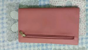 Baggit Brand Clutch
