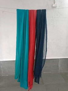 Vibrant Dupattas Set