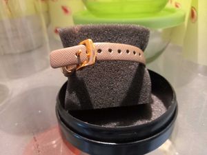 Elegant Sonata Watch with Brown Strap