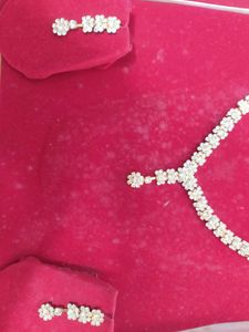 Stunning Crystal Necklace and Earring Set