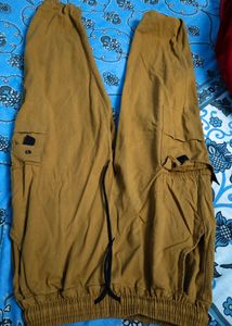 Joggers Type Pant