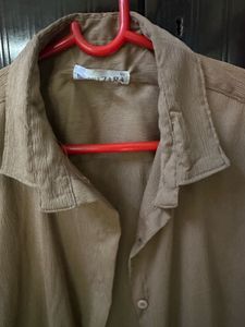 Classic Brown Collared Shirt