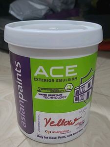 Asian Pant Yellow Colour Paint