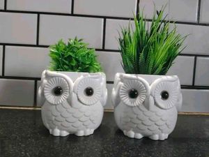 Two Beautiful Artificial Plants
