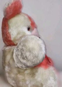 Cute Pink and White Teddy Bear