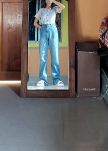 American Eagle Oversized Parallel Jeans