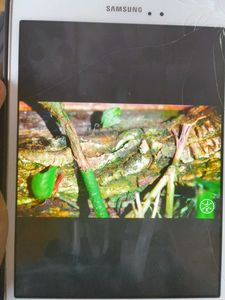 Samsung Sm-T350 Tab A In Used Condition