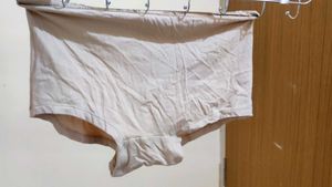 Van Heusen Briefs