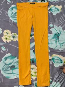 Mustard Yellow Leggings