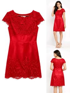 Elegant Red Lace Dress