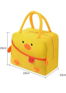 SAFESEED Lunch Bag for School Picnic Office