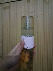 Bath &amp; Body Works In The Stars Mist
