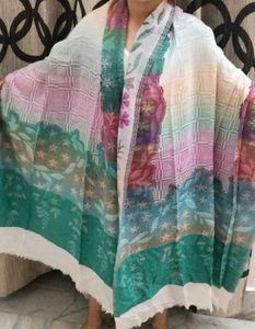Pashmina Showl Light Weight