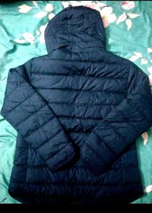 unisex Navy Blue Padded Jacket