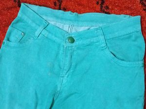Sea Green Jeggings/Jeans