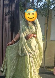 Pure Tissue pista Choli with stylish blouse