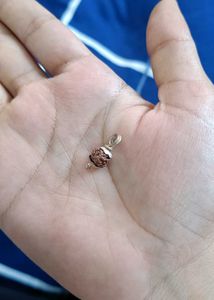 Real Silver Rudraksha Pendants