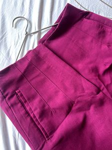 Chic Zara Maroon Trousers