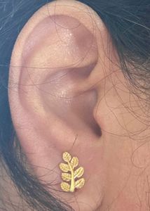Elegant Gold Leaf Earrings SS925