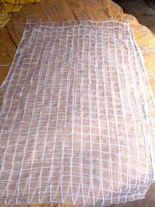White Net Dupatta
