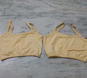 Comfortable Crop Top Style Bra (Pack of 2)