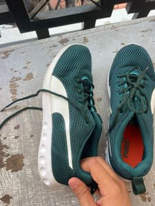 Puma Green Mesh Sneakers