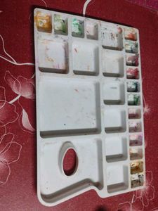 Plastic Artist Palette
