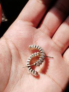 Anti Tarnished Earrings Set