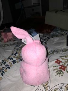 Cute Pink Teddy Bear with Bunny Ears