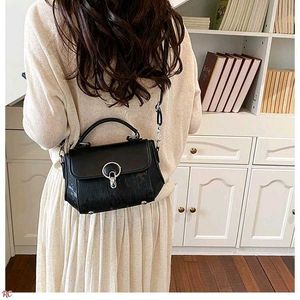 CHIC  HANDBAGS