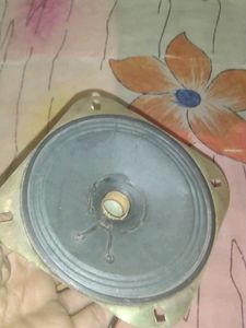 Speaker