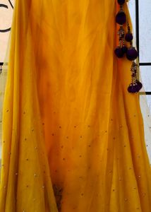 Exquisite Yellow Lehenga only