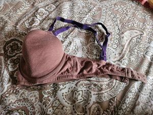 Zivame Padded Wired T Shirt Bras