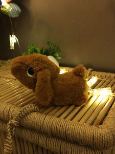 Cute Brown Stuffed Bunny