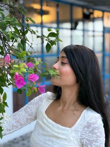 Elegant Lace Top
