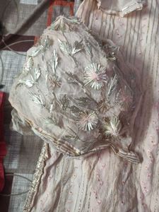 Elegant Peach Kurta  with Dupatta