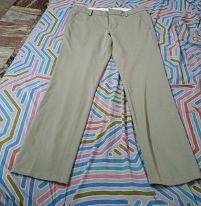 Formal pant