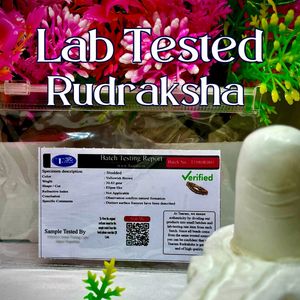 Combo Offers Of Rudraksha For Diwali 🎇🪔