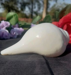 Shankh