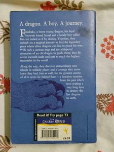 Dragon Rider by Cornelia Funke